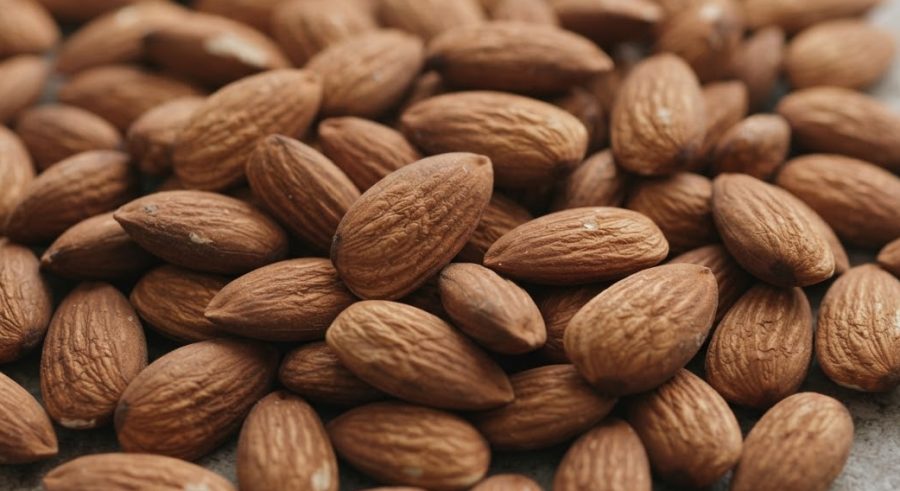 Mountain Almonds — alternate view